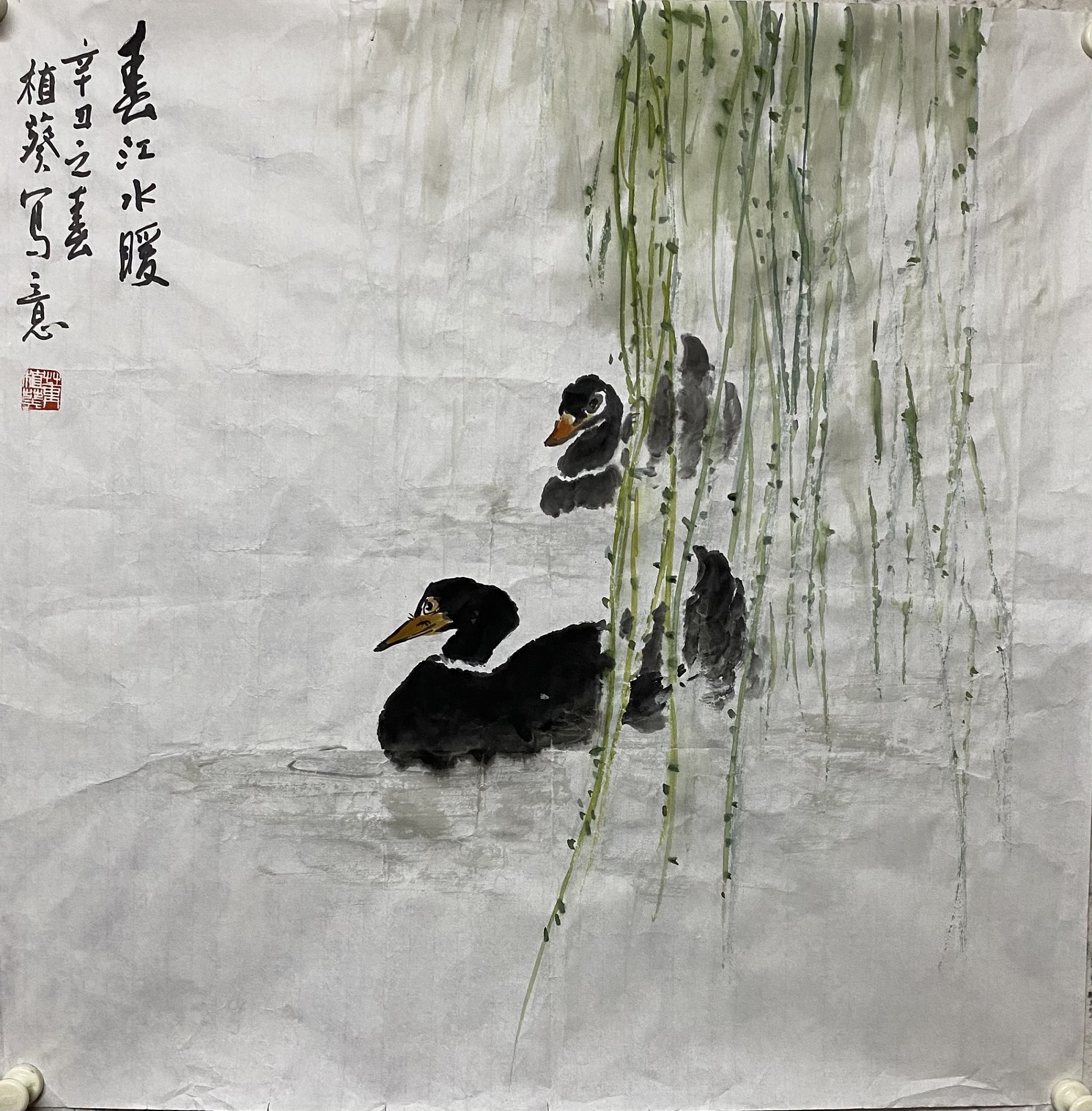 ����ˮů.jpg
