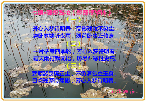 2113457_20190501212833958146_1_����.jpg