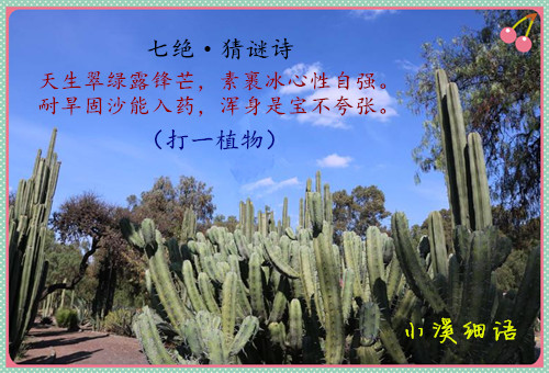 ee9bfc37cdd85e37733838110492484e_����.jpg