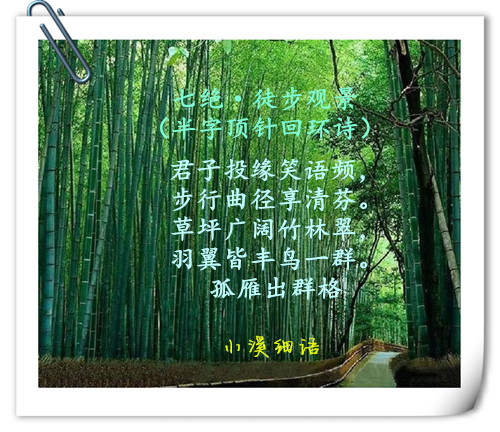 070e93b7e1748cd451a6c0456fdd6460_����.jpg