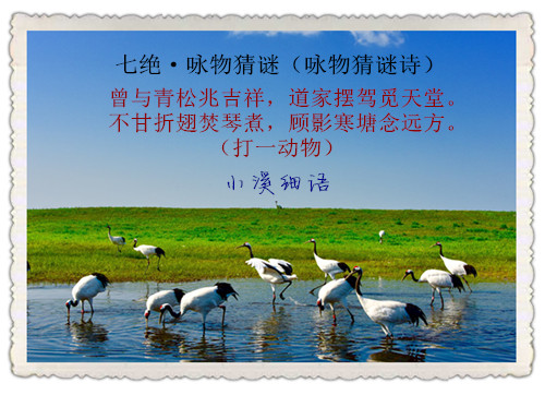 8d6e1304463dbe8a7ad85592e99e651e_����.jpg