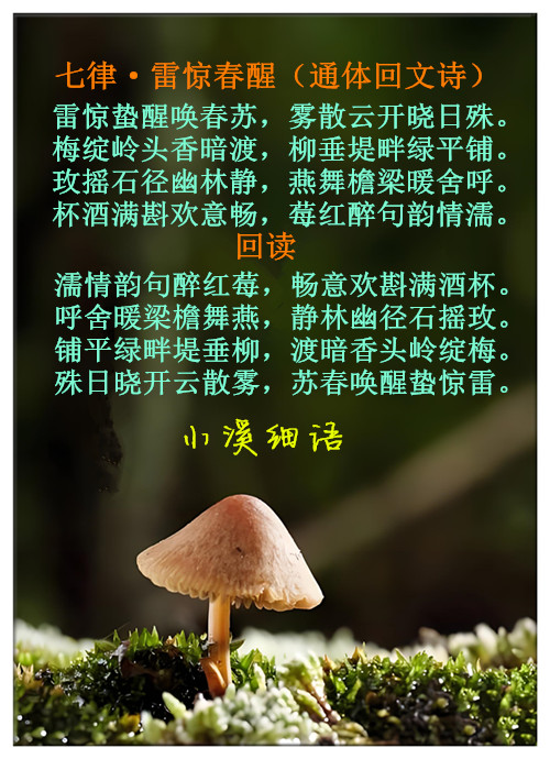 1c43ad09e2822039_����.jpg