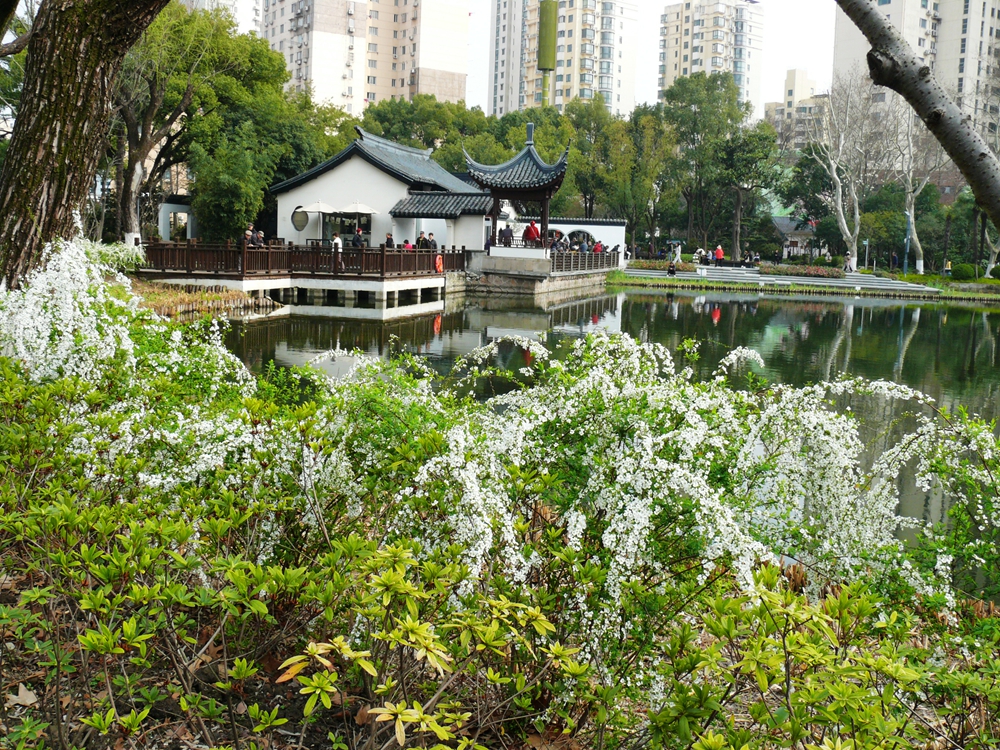 P1390346.JPG
