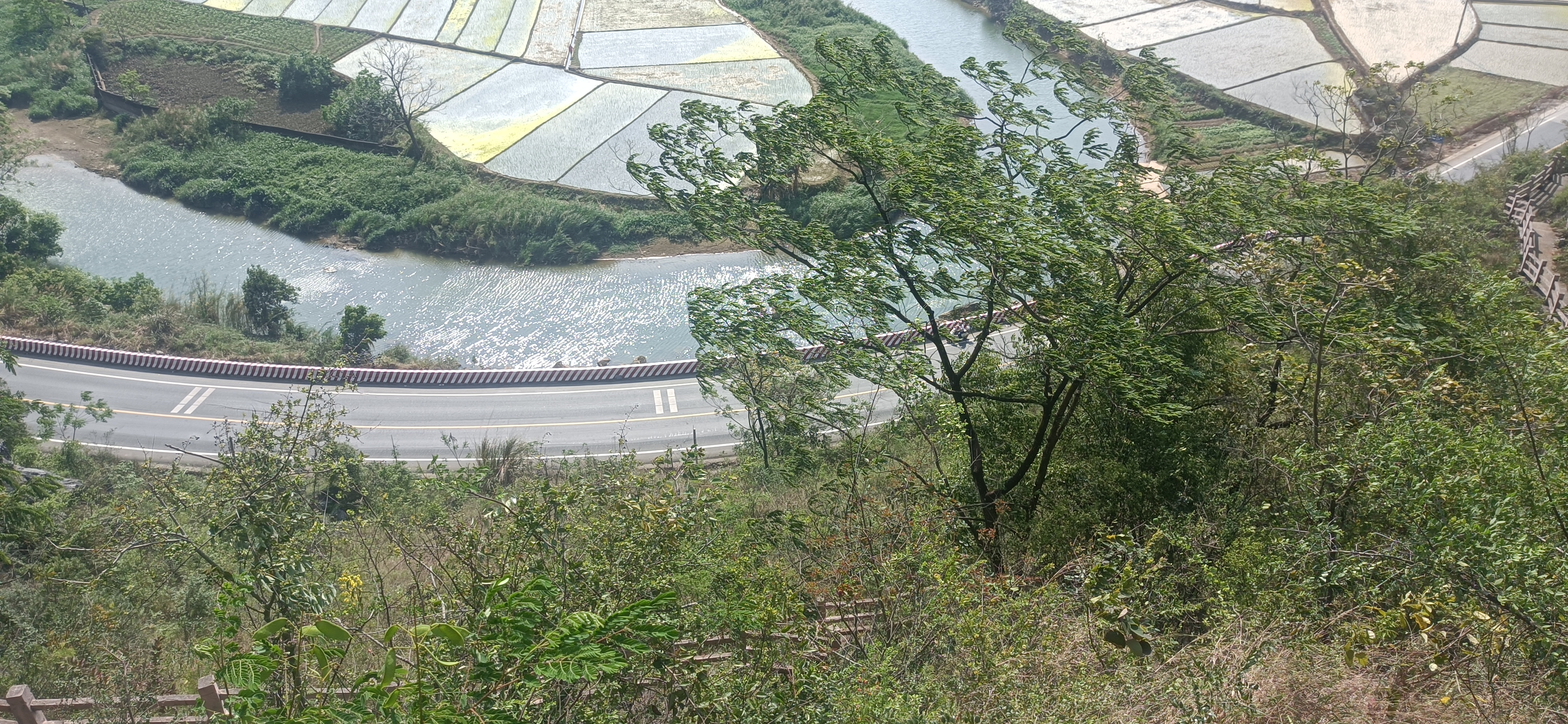 IMG_20260330_154123.jpg